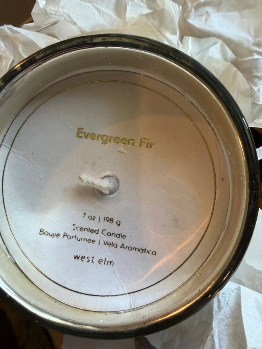 New West Elm Metallic Silver Glass Candle- Evergreen Fir